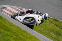 Advanced Group White Bikes